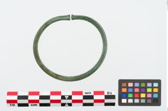 Foto von Bronzearmreif (NHMW-PRAE-024984)